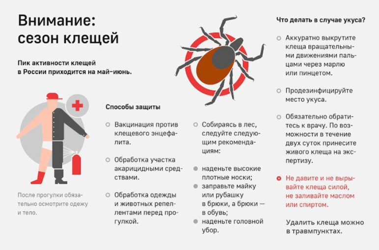 🦠 ФБУЗ «Центр гигиены и эпидемиологии в Оренбургской области» 🦠 ФБУЗ «Центр гигиены и эпидемиологии в Оренбургской области».